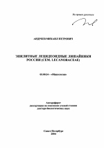 Эпилитные лецидеоидные лишайники России - тема автореферата по биологии, скачайте бесплатно автореферат диссертации