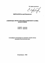 Амфиподы литорали Кандалакшского залива Белого моря - тема автореферата по биологии, скачайте бесплатно автореферат диссертации