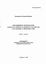 Популяционная экология блохи Nosopsyllus (Nosopsyllus) Mokrzeckyi (Wagner, 1916) и ее значение в эпизоотиях чумы - тема автореферата по биологии, скачайте бесплатно автореферат диссертации