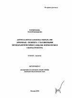 Asetocalamyzas Laonicola Tzetlin, 1985 (Spionidae)-полихета с карликовыми эктопаразитическими самцами: морфология и ультраструктура - тема автореферата по биологии, скачайте бесплатно автореферат диссертации