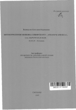 Биоморфология княжика сибирского - Atragene sibirica L. (сем. Ranunculaceae) - тема автореферата по биологии, скачайте бесплатно автореферат диссертации