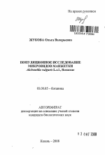 Популяционное исследование микровидов манжетки Alchemilla vulgaris L.s.I., Rosaceae - тема автореферата по биологии, скачайте бесплатно автореферат диссертации