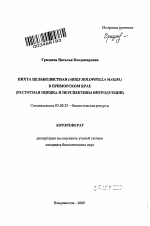 Пихта цельнолистная (Abies holophylla Maxim.) в Приморском крае - тема автореферата по биологии, скачайте бесплатно автореферат диссертации