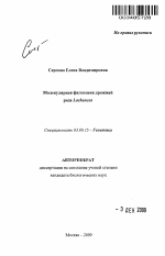 Молекулярная филогения дрожжей рода Lachancea - тема автореферата по биологии, скачайте бесплатно автореферат диссертации