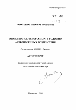 Зообентос Азовского моря в условиях антропогенных воздействий - тема автореферата по биологии, скачайте бесплатно автореферат диссертации