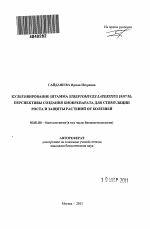 Культивирование штамма Streptomyces lateritius 19/97 M - тема автореферата по биологии, скачайте бесплатно автореферат диссертации