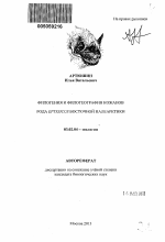 Филогения и филогеография кожанов рода Eptesicus восточной Палеарктики - тема автореферата по биологии, скачайте бесплатно автореферат диссертации