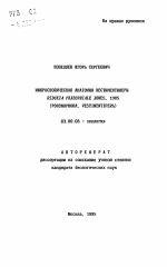Микроскопическая анатомия вестиментиферы RIDGEIA PHAEOPHIALE JONES, 1985 (POGONOPHORA, VESTIMENTIFERA) - тема автореферата по биологии, скачайте бесплатно автореферат диссертации