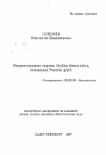 Микроспоридиоз сверчка Gryllus bimaculatus, вызванный Nosema grylli - тема автореферата по биологии, скачайте бесплатно автореферат диссертации