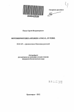 Фотоморфогенез Artemisia annua L. in vitro - тема автореферата по биологии, скачайте бесплатно автореферат диссертации