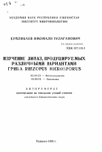 Изучение липаз, продуцируемых различными вариантами гриба Rhizopus microsporus - тема автореферата по биологии, скачайте бесплатно автореферат диссертации