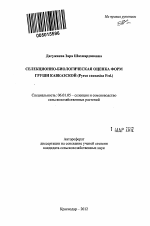 Селекционно-биологическая оценка форм груши кавказской - тема автореферата по сельскому хозяйству, скачайте бесплатно автореферат диссертации