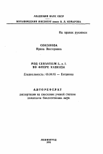 Род CERASTIUM L. s.l. во флоре Кавказа - тема автореферата по биологии, скачайте бесплатно автореферат диссертации