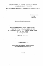 Биоморфологический анализ Filipendula vulgaris Moench F. denudata (J. et C. Presl) Fritsch в Закарпатье - тема автореферата по биологии, скачайте бесплатно автореферат диссертации