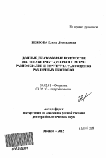 Донные диатомовые водоросли (Bacillariophyta) Черного моря - тема автореферата по биологии, скачайте бесплатно автореферат диссертации