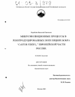 Микроэволюционные процессы в реинтродуцированных популяциях бобра (Сastor fiber L.) Европейской части России - тема диссертации по биологии, скачайте бесплатно