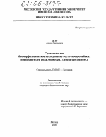 Сравнительное биоморфологическое исследование восточноевропейских представителей рода Artemisia L. (Asteraceae Dumort.) - тема диссертации по биологии, скачайте бесплатно