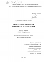 Цианобактерии и водоросли пещеры Шульган-Таш (Каповой) - тема диссертации по биологии, скачайте бесплатно