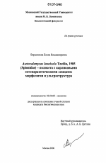Asetocalamyzas Laonicola Tzetlin, 1985 (Spionidae)-полихета с карликовыми эктопаразитическими самцами: морфология и ультраструктура - тема диссертации по биологии, скачайте бесплатно