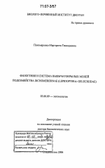 Филогения и система выемчатокрылых молей подсемейства Dichomeridinae - тема диссертации по биологии, скачайте бесплатно