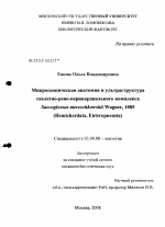 Микроскопическая анатомия и ультраструктура скелетно-рено-перикардиального комплекса Saccoglossus mereschkowskii Wagner, 1885 (Hemichordata, Enteropneusta) - тема диссертации по биологии, скачайте бесплатно