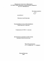 Биоразнообразие ночных Macrolepidoptera Нижегородского Заволжья - тема диссертации по биологии, скачайте бесплатно