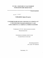 Культивирование штамма Streptomyces lateritius 19/97 M - тема диссертации по биологии, скачайте бесплатно