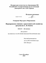 Формирование гинецея у представителей семейства Apocynaceae L. de Jussieu - тема диссертации по биологии, скачайте бесплатно