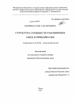 Структура сообществ раковинных амеб в Прибайкалье - тема диссертации по биологии, скачайте бесплатно