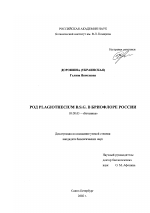 Род Plagiothecium B. S. G. в бриофлоре России - тема диссертации по биологии, скачайте бесплатно