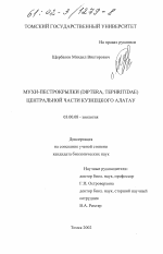 Мухи-пестрокрылки (Diptera, Tephritidae) центральной части Кузнецкого Алатау - тема диссертации по биологии, скачайте бесплатно