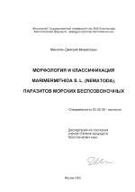 Морфология и классификация Marimermithida s. l. (Nematoda), паразитов морских беспозвоночных - тема диссертации по биологии, скачайте бесплатно