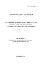 Исследование механизмов регуляции апоптоза лейкоцитов периферической крови у больных системной красной волчанкой - тема автореферата по биологии, скачайте бесплатно автореферат диссертации