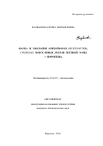 Фауна и экология орехотворок (Hymenoptera, cynipidae) порослевых дубрав зеленой зоны г. Воронежа - тема автореферата по биологии, скачайте бесплатно автореферат диссертации