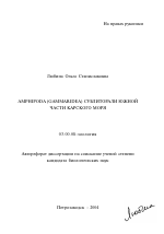 Amphipoda (Gammaridea) сублиторали южной части Карского моря - тема автореферата по биологии, скачайте бесплатно автореферат диссертации