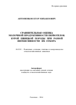 Сравнительная оценка молочной продуктивности первотелок бурой швицкой породы при разной интенсивности их отбора - тема автореферата по сельскому хозяйству, скачайте бесплатно автореферат диссертации