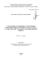 Структурные изменения в популяциях бронзовки рябой (Oxythyrea funesta (Poda.)) в окрестностях крупного промышленного центра - тема автореферата по биологии, скачайте бесплатно автореферат диссертации