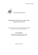 Выращивание молодняка кросса "Хайсекс белый" в равновесовых сообществах - тема автореферата по сельскому хозяйству, скачайте бесплатно автореферат диссертации