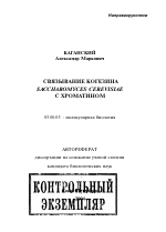 Связывание когезина Saccharomyces cerevisiae с хроматином - тема автореферата по биологии, скачайте бесплатно автореферат диссертации