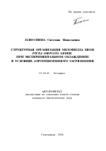 Структурная организация мезофилла хвои PICEA OBOV ATA LEDEB. При экспериментальном охлаждении в условиях аэротехногенного загрязнения - тема автореферата по биологии, скачайте бесплатно автореферат диссертации