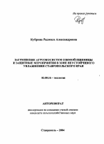 Загрязнение агроэкосистем озимой пшеницы и защитные мероприятия в зоне неустойчивого увлажнения Ставропольского края - тема автореферата по биологии, скачайте бесплатно автореферат диссертации