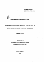 Генетическая информативность 3'UTR (TC→CA)- и del425- полиморфизмов гена c-fms человека - тема автореферата по биологии, скачайте бесплатно автореферат диссертации