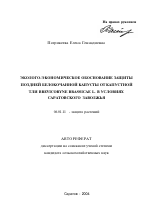 Эколого-экономическое обоснование защиты поздней белокочанной капусты от капустной тли Brevicoryne brassicae L. в условиях Саратовского Заволжья - тема автореферата по сельскому хозяйству, скачайте бесплатно автореферат диссертации