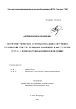 Морфометрическое и функциональное изучение созревания клеток Пуркинье мозжечка в онтогенезе зрело- и незрелорождающихся животных - тема автореферата по биологии, скачайте бесплатно автореферат диссертации