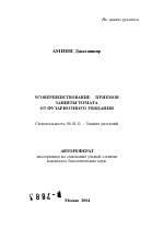 Усовершенствование приемов защиты томата от фузариозного увядания - тема автореферата по сельскому хозяйству, скачайте бесплатно автореферат диссертации