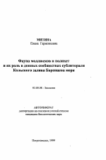 Фауна моллюсков и полихет и их роль в донных сообществах сублиторали Кольского залива Баренцева моря - тема автореферата по биологии, скачайте бесплатно автореферат диссертации