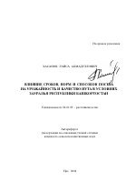 Влияние сроков, норм и способов посева на урожайность и качество нута в условиях Зауралья Республики Башкортостан - тема автореферата по сельскому хозяйству, скачайте бесплатно автореферат диссертации