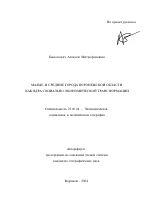 Малые и средние города Воронежской области как ядра социально-экономической трансформации - тема автореферата по наукам о земле, скачайте бесплатно автореферат диссертации