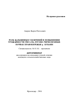 Роль кальциевых удобрений в повышении урожайности риса на лугово-черноземных почвах правобережья р. Кубани - тема автореферата по сельскому хозяйству, скачайте бесплатно автореферат диссертации