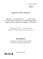 Мясная продуктивность и некоторые биологические особенности голштинизированных черно-пестрых бычков различных генотипов - тема автореферата по сельскому хозяйству, скачайте бесплатно автореферат диссертации